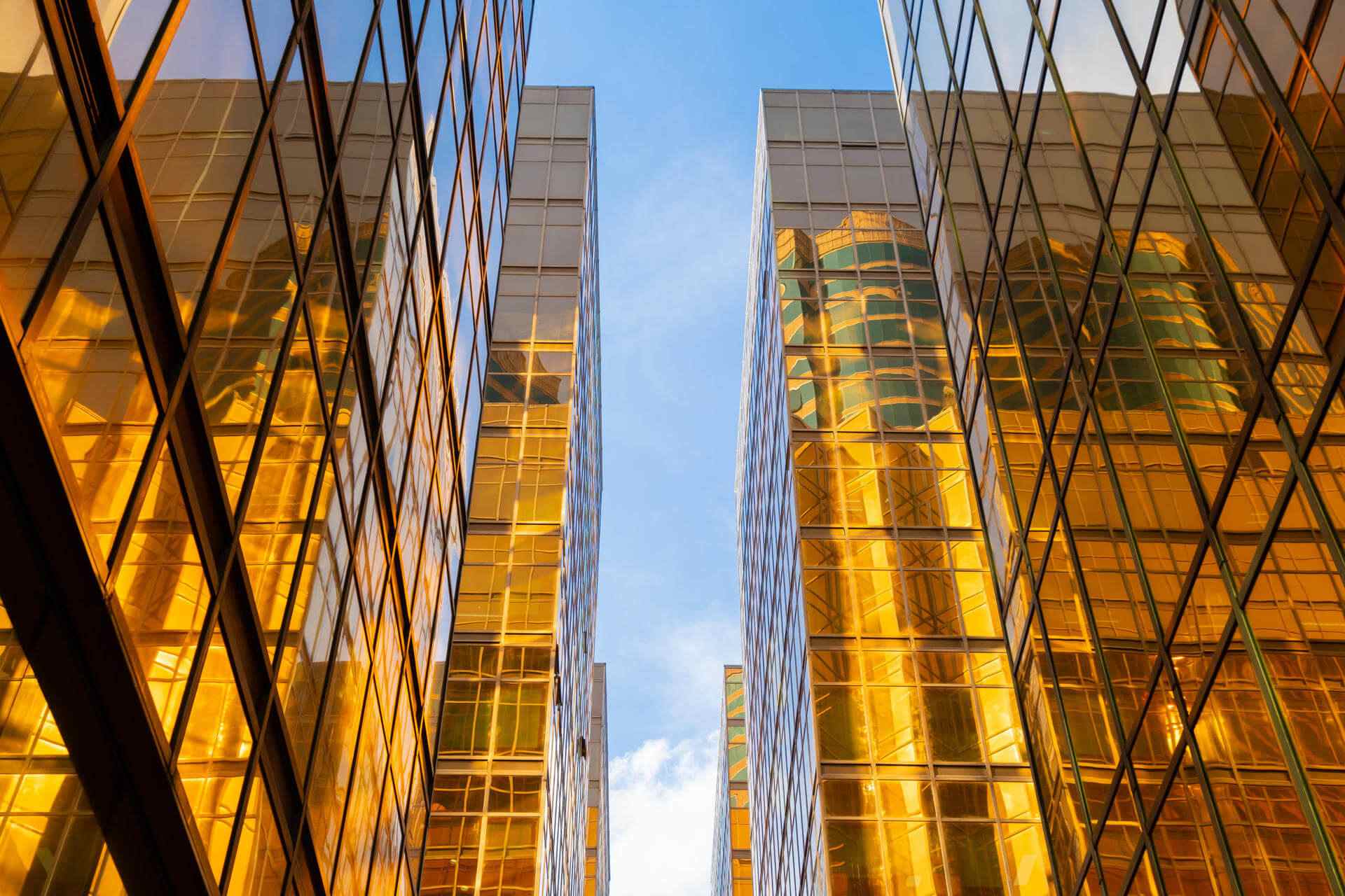 Before: Facing repeated regulatory warnings and a looming audit failure due to outdated AML practices.  After: We implemented a full AML compliance framework, trained 80+ staff, and supported the bank through a successful third-party audit.
